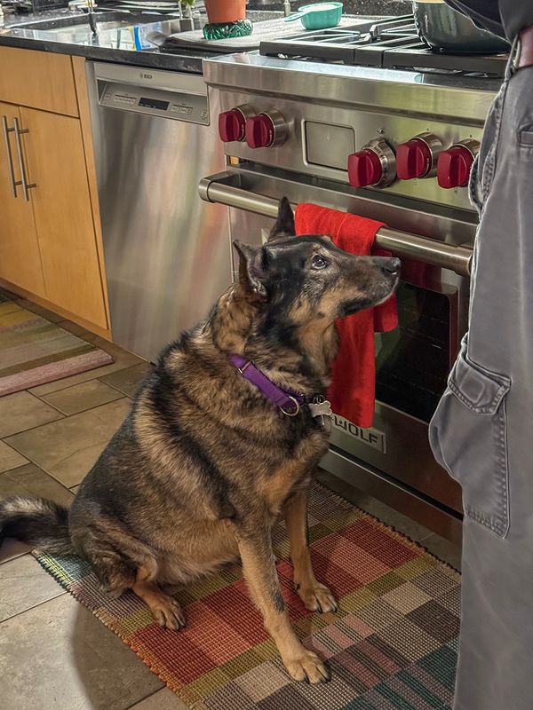 The Can I have more ham look