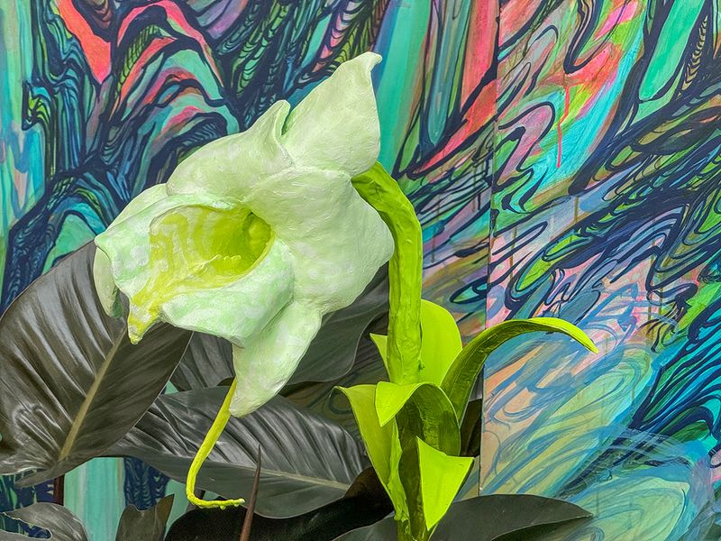 Model of Angraecum phaanenae