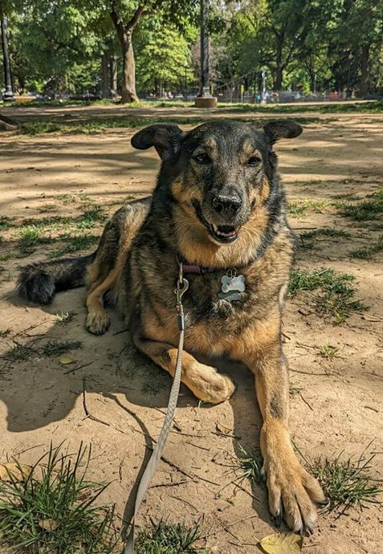 Queen of the park