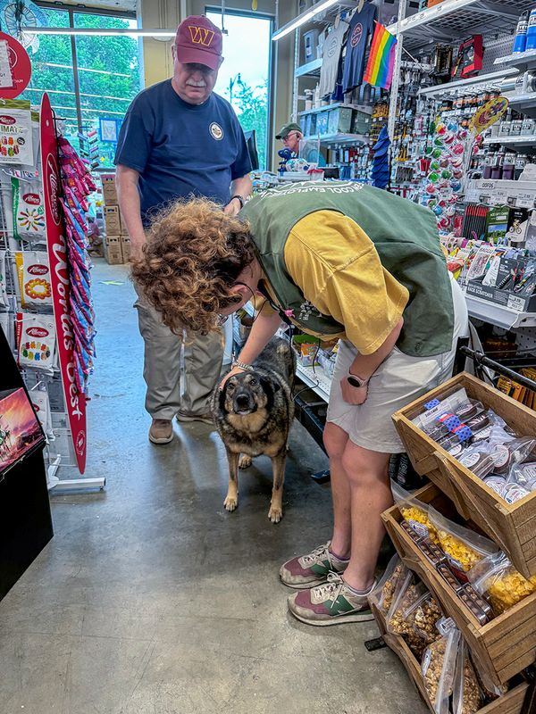 Spoiled at the hardware store