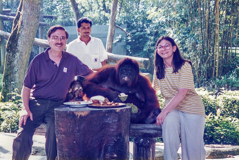 Lunch at the Singapore Zoo