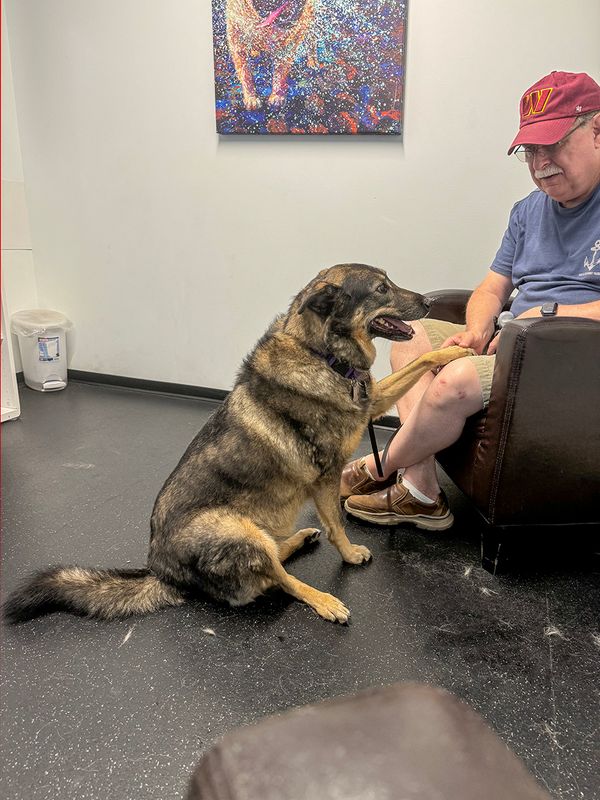 Can we please go home now??