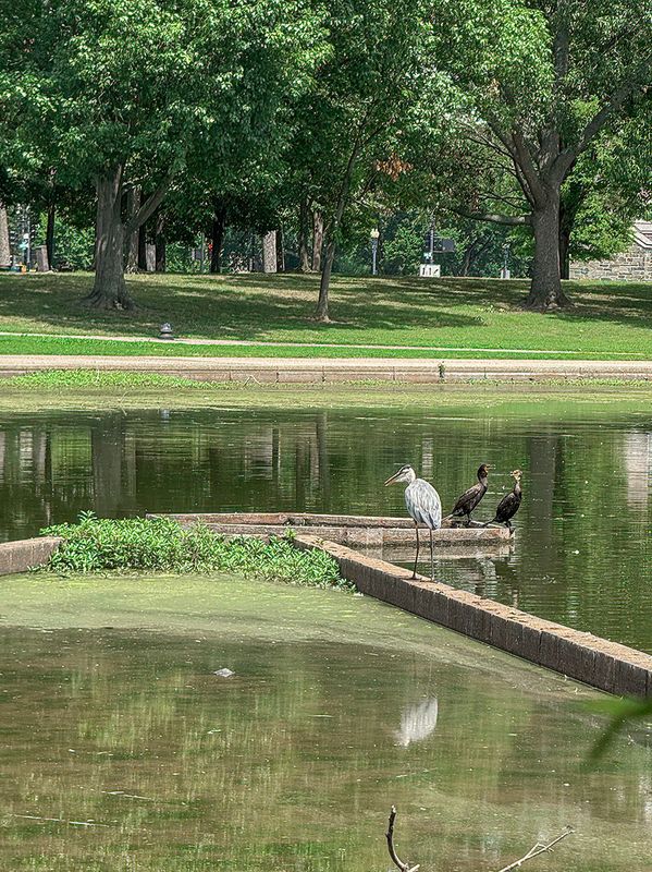 Birds of a feather dont always stick together