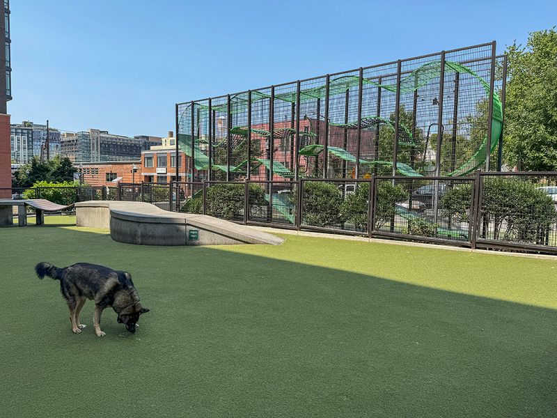 Dog parks are example of anti-family culture: Project 2025 architect 