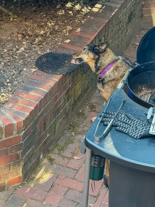 BBQ pre-cleaner