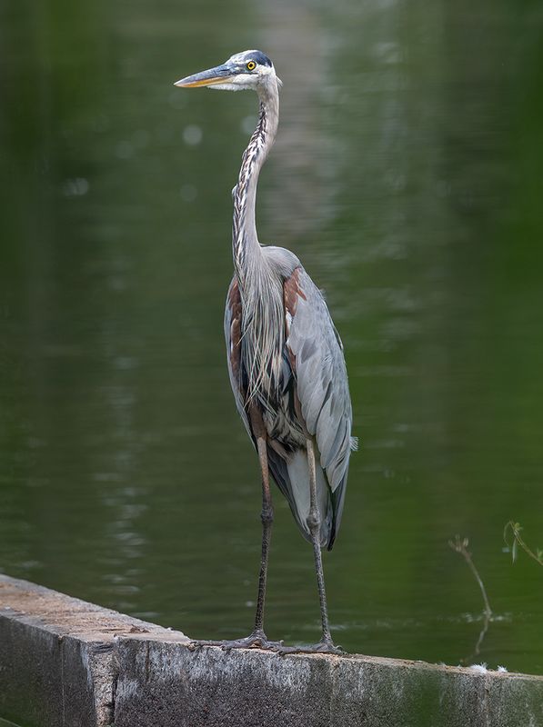 Posing for the camera