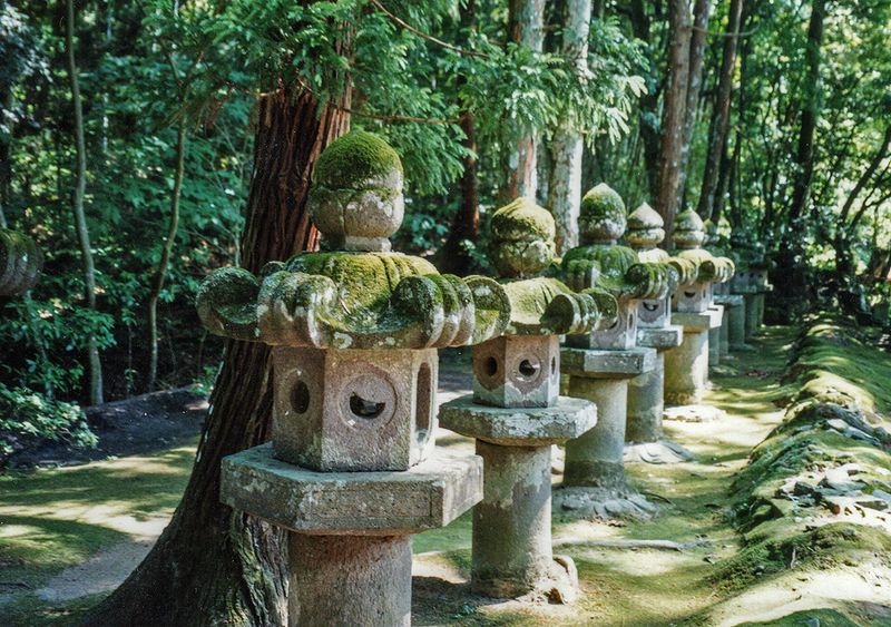 Stone lanterns, Nikko