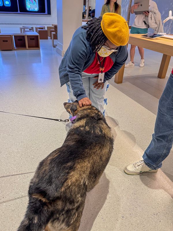 Queenie makes friends with the Apple staff