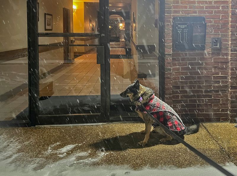 All I wanted was one little treat...