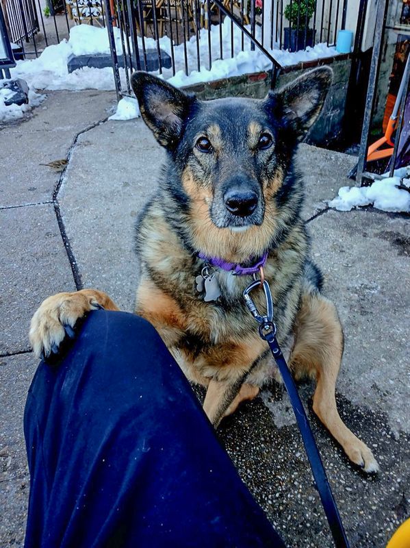 Steadying paw