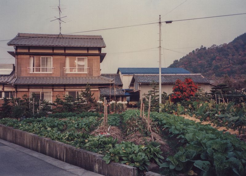 Community garden, Shikoku