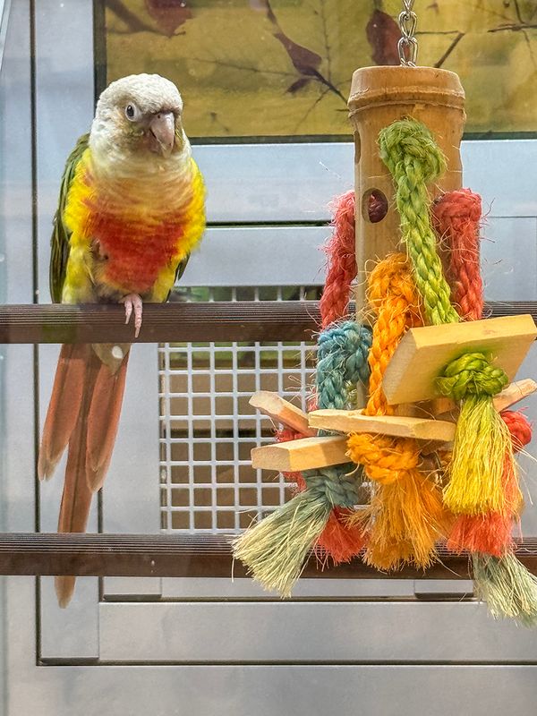 Color coordinated