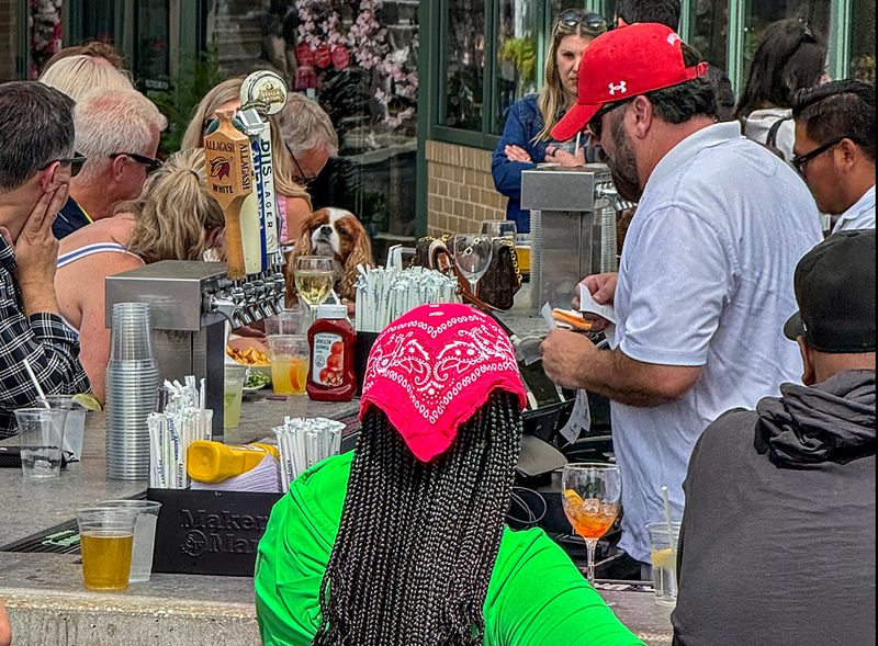 Doggy customer at the bar