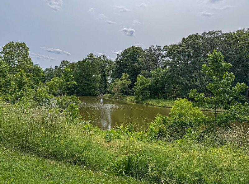 The lake with no name