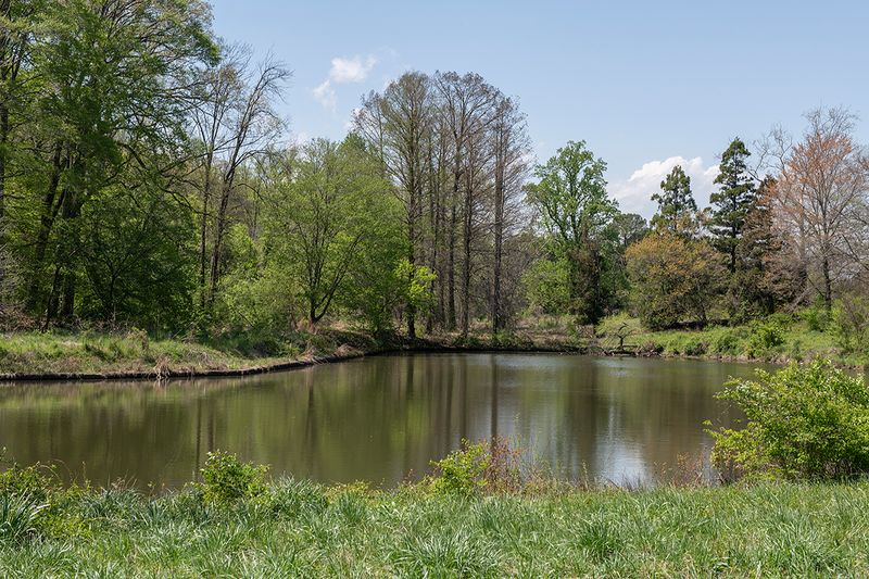 Arboretum in years past: Secluded lake