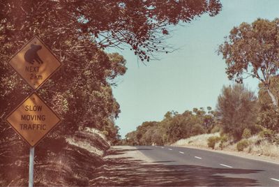 ‘Koalas next 2 km’