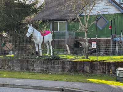 Garden dcor in Milwaukie, Oregon