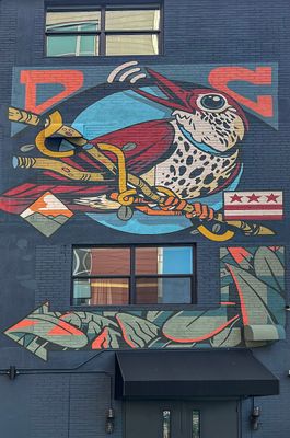 DC bird mural