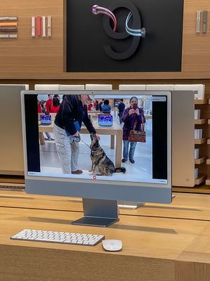 Queenie visits the Apple store