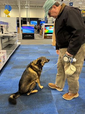 Queenie getting a lesson in Best Buy etiquette