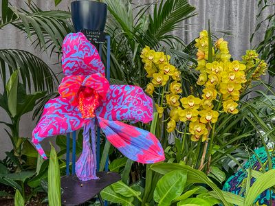 'Orchids: Amazing Adaptations' at the Smithsonian