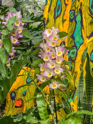 Orchids and a fantastical tree