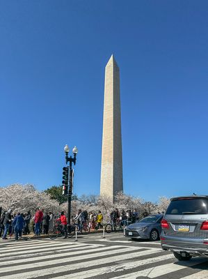 Crowds, cars and the Washington Monument