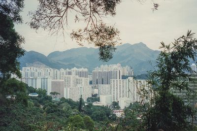 Sha Tin, New Territories, Hong Kong