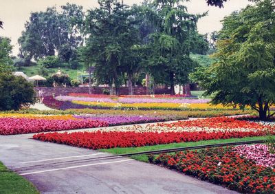 Stuttgart garden