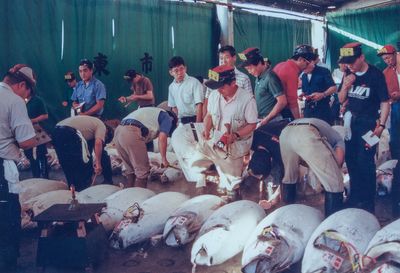 Tsukiji fish market