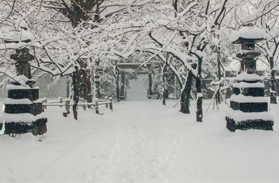 Snowy Tokyo