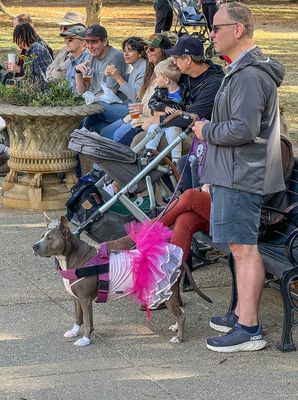 Ballerina, Howl-o-Ween costume contest