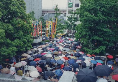 The popularity of sumo
