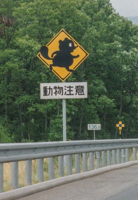 Watch out for tanuki, Shiga Prefecture