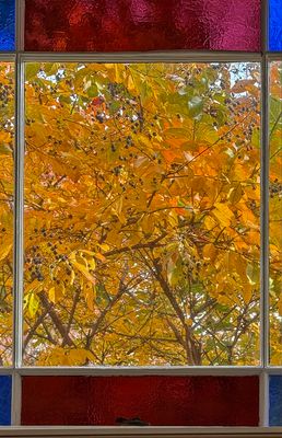 Through the looking glass