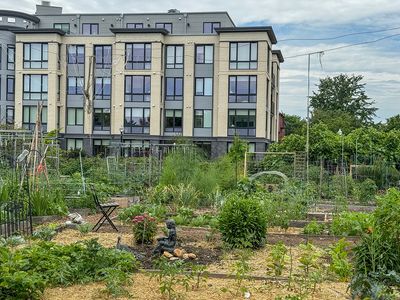 Oasis in the city