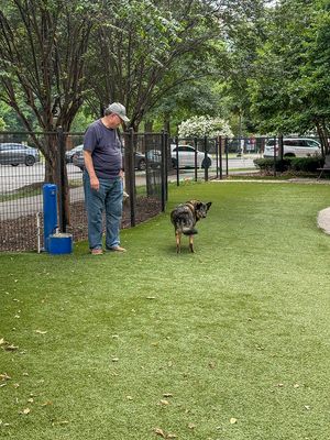 Exclusive dog park?