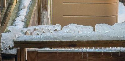 Artistic ice
