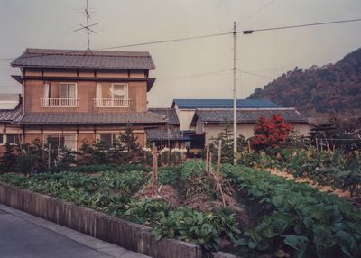 Community garden, Shikoku