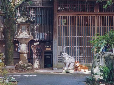Two watchdogs on duty, Kaga