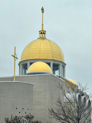 Standing out against a dreary sky
