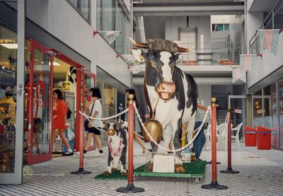 Shopping mall resident, Kobe