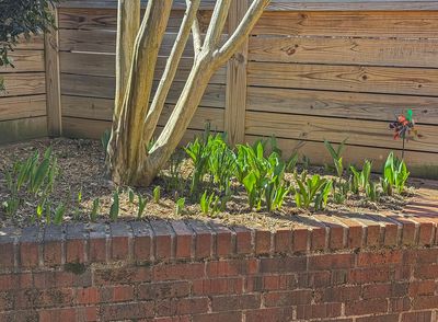Spring makes an appearance!