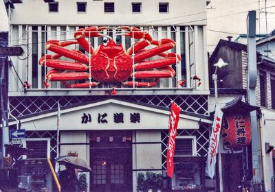 Our First 4 Years in Japan