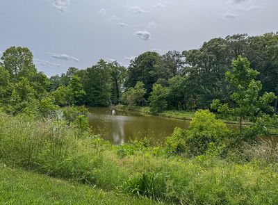 National Arboretum: Now and in Retrospect