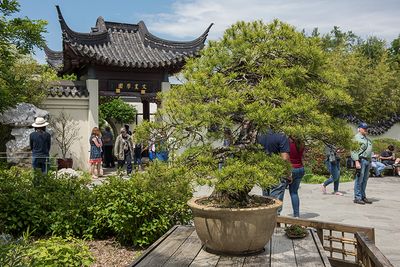 National Arboretum: Now and in Retrospect