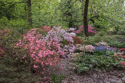 National Arboretum: Now and in Retrospect