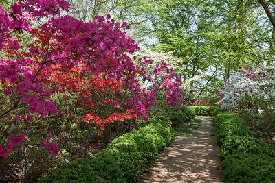 National Arboretum: Now and in Retrospect