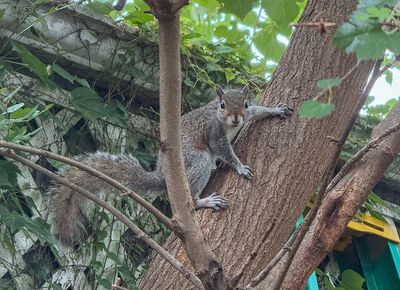 Occasional Wildlife from Around the World