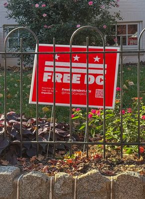 Washington Rediscovered: Year 10